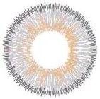 Cosmo Glamour Circle Lens Lily 3 Tons de Cinza